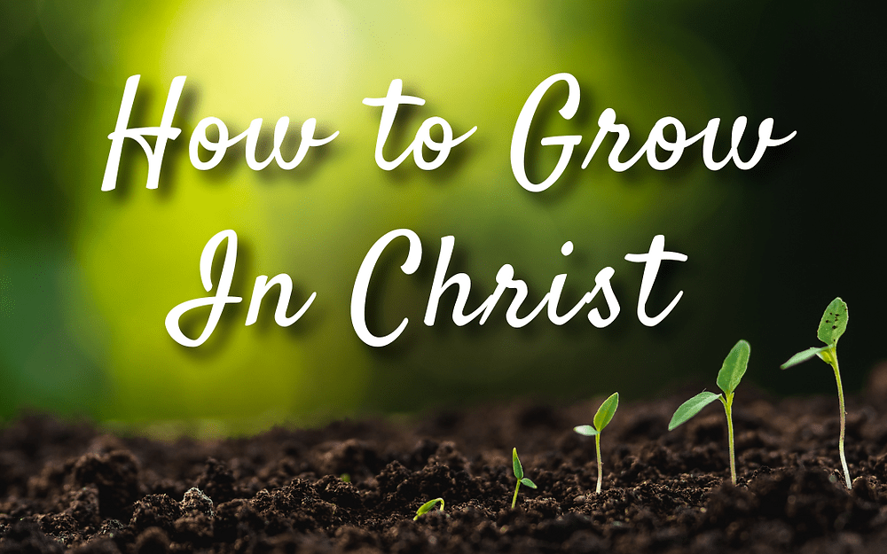 Grow in Christ